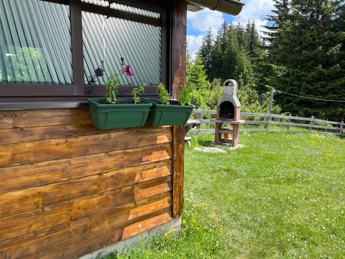 Bungalows Krstajic Žabljak Екстериор снимка