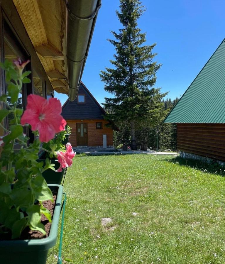 Bungalows Krstajic Žabljak Екстериор снимка