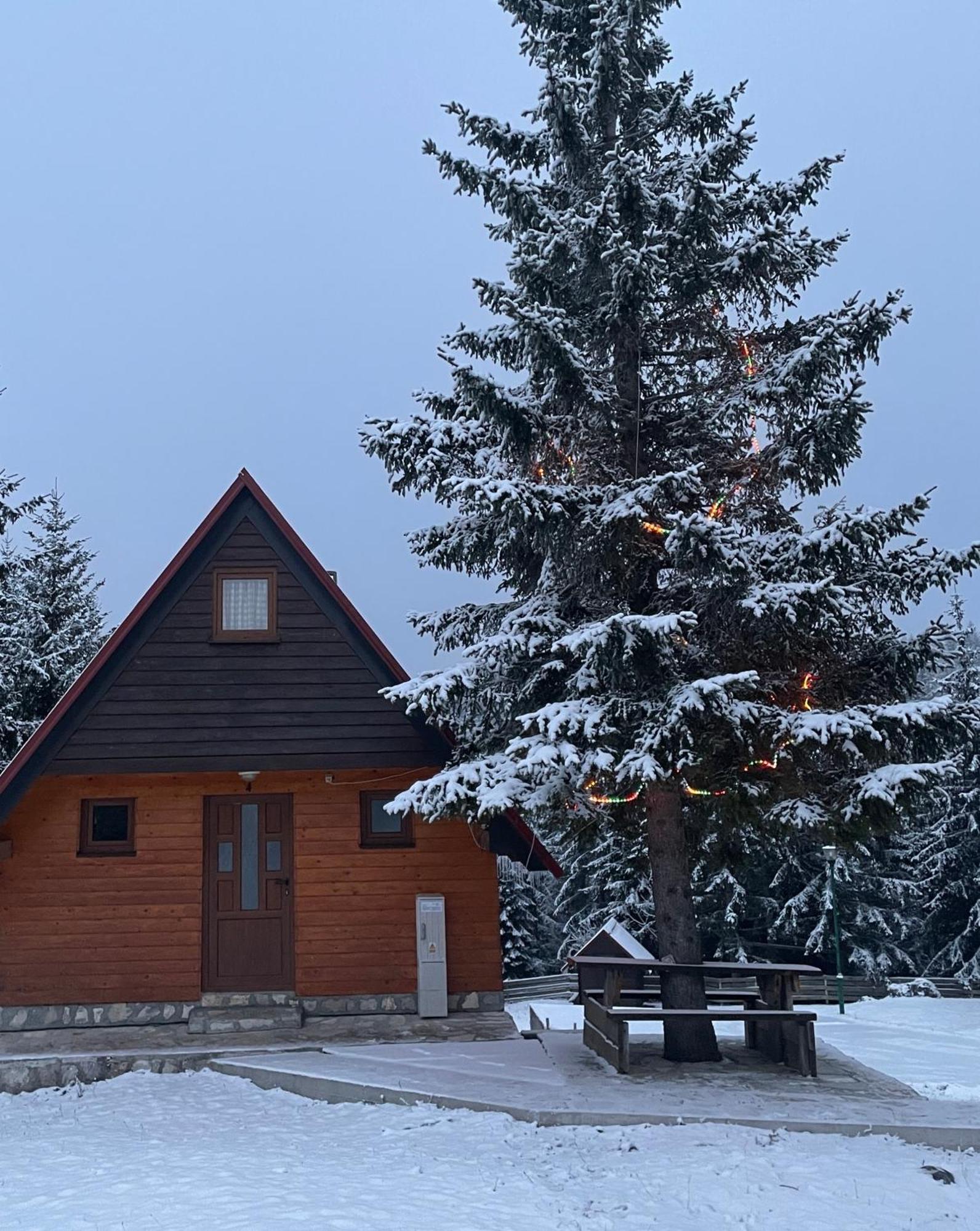 Bungalows Krstajic Žabljak Екстериор снимка